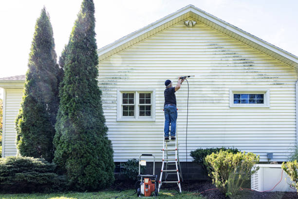 Best Paint Preparation  in Bellaire, OH